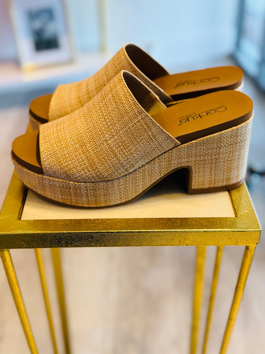 Totally Buggin Raffia