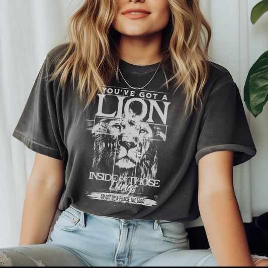 You've got a Lion