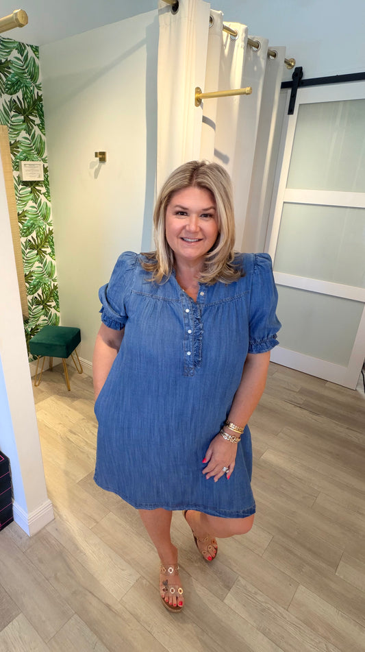 All Day Denim Dress