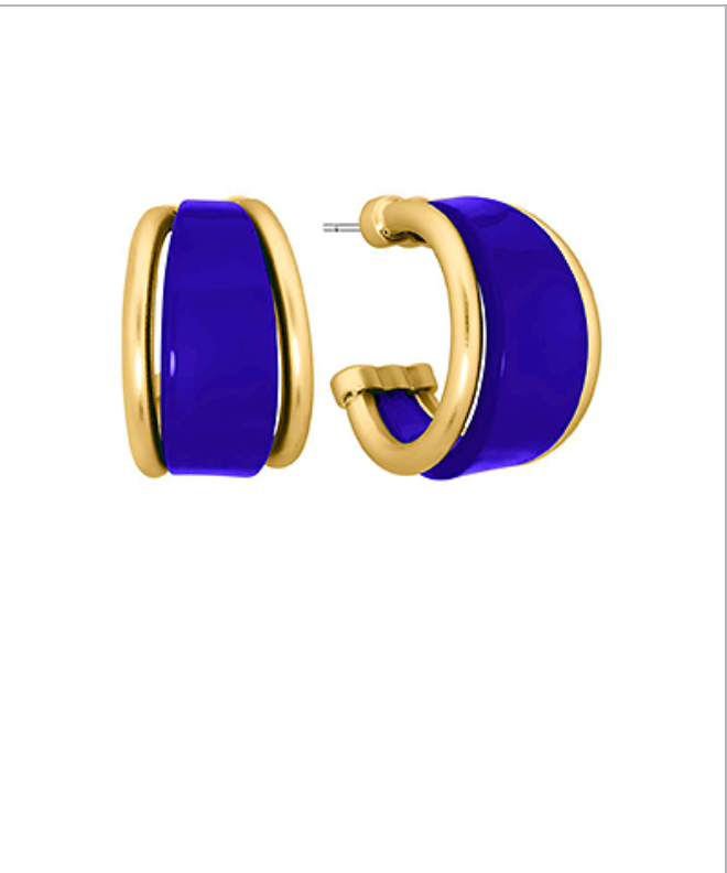 So Sophisticated Earrings
