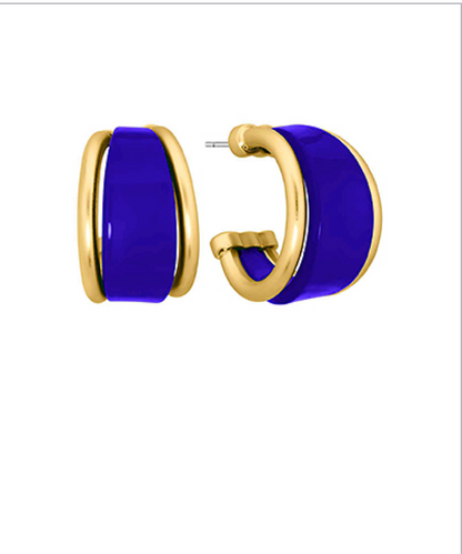 So Sophisticated Earrings