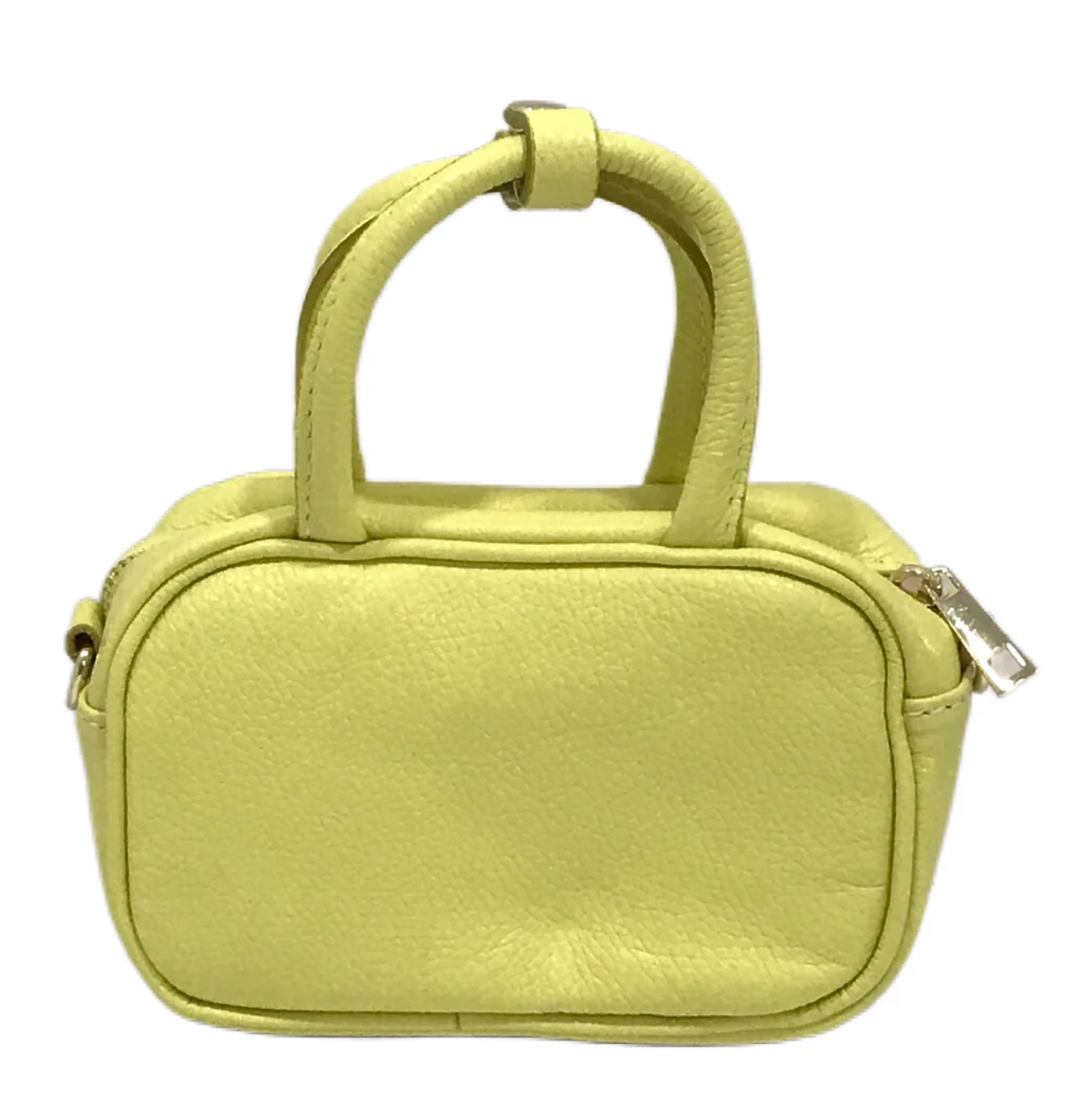 Luxe Leather Mini Bag