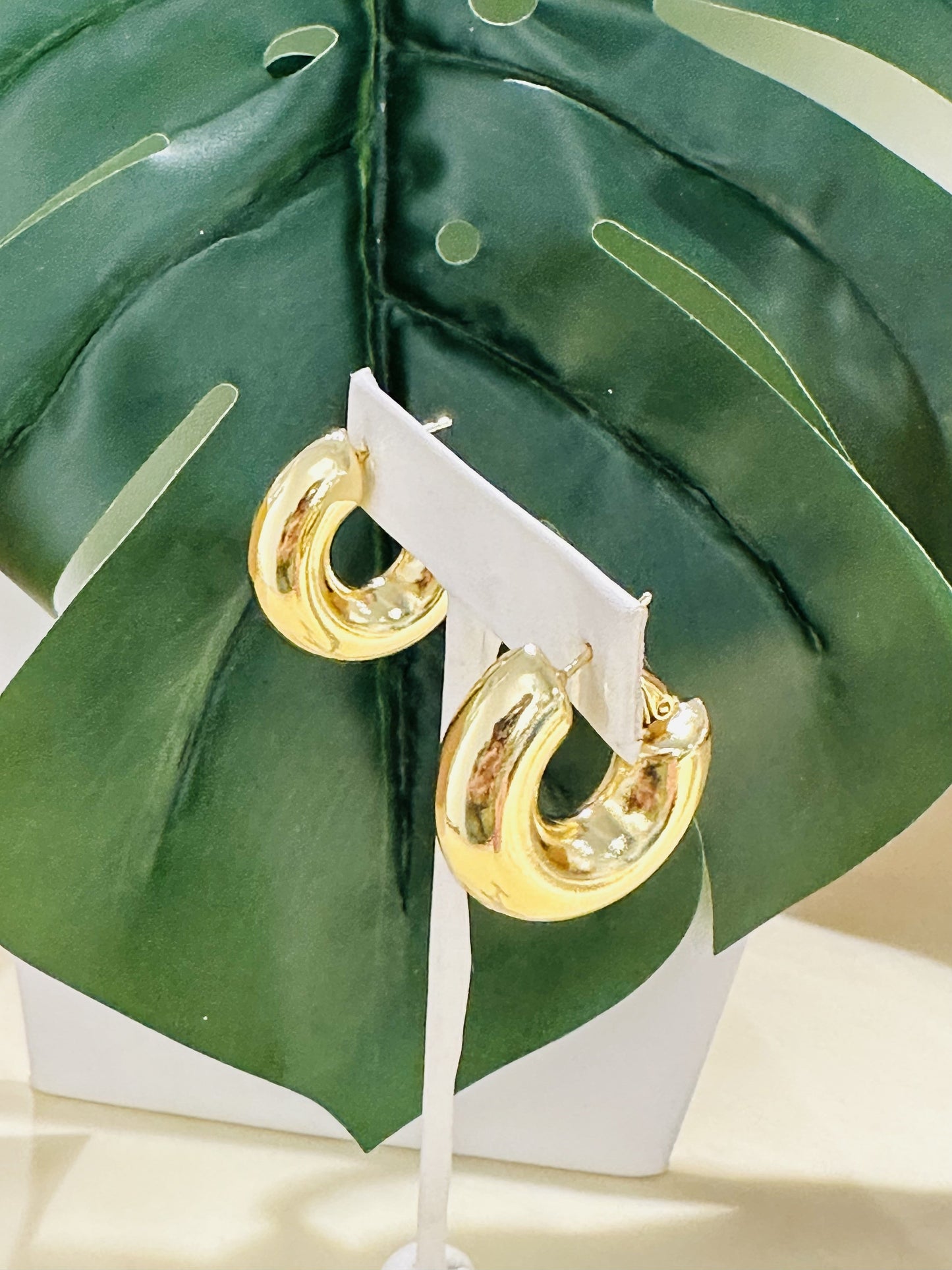 Bold  Hoops